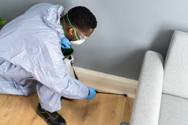 Best Pest Control for Multi-Family Homes  in Brewster Heights, NY